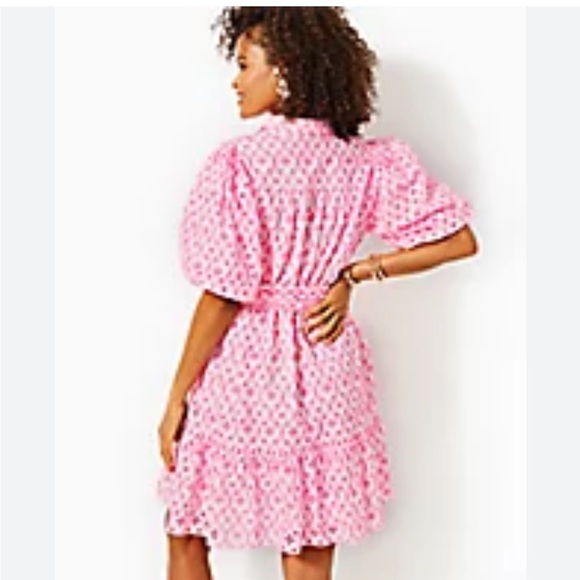 Lilly Pulitzer CARTLEY elbow sleeves eyelet shirtdress, 8 - Picture 3 of 10